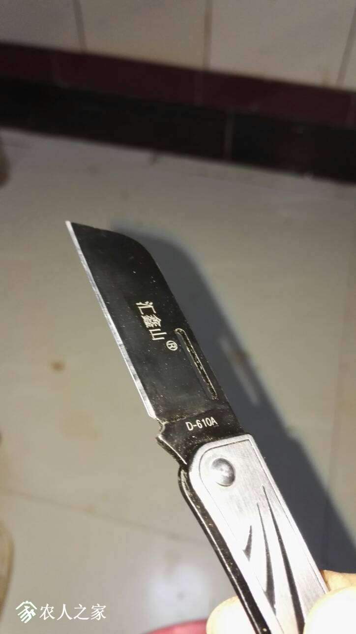 231055gehhh01t0uu2ehxe.jpg
