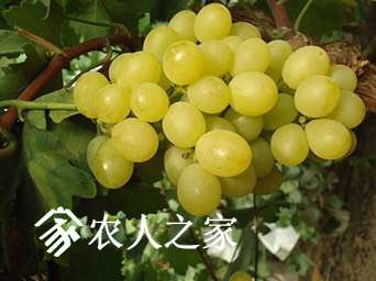 132001j0jyt3j95q94jujp.jpg