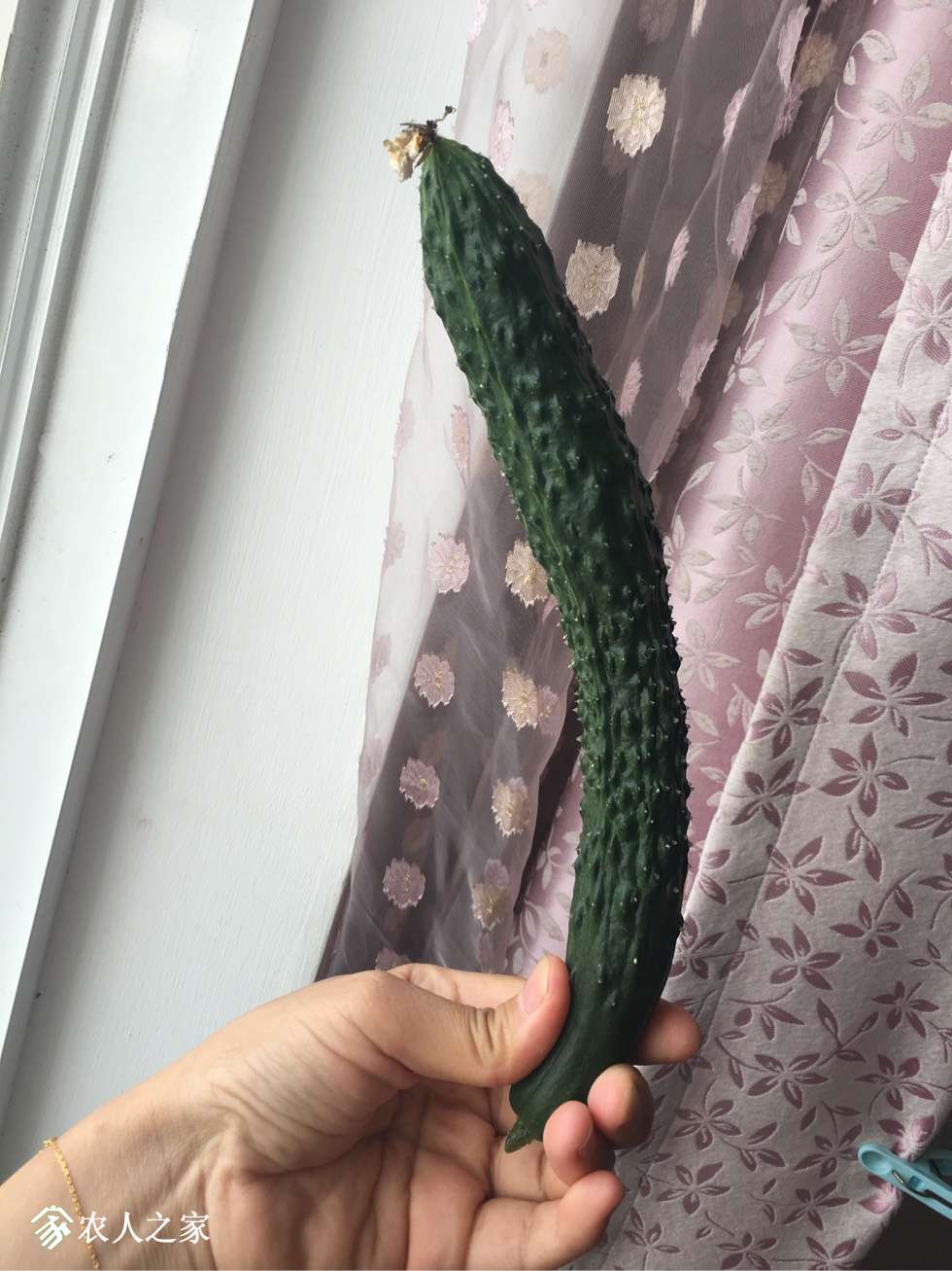 153848j4lkkzlkr4k5k5kl.jpg