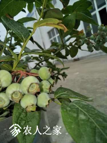IMG20170519162613.jpg