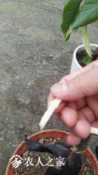 ͼƬ20170519174046.jpg