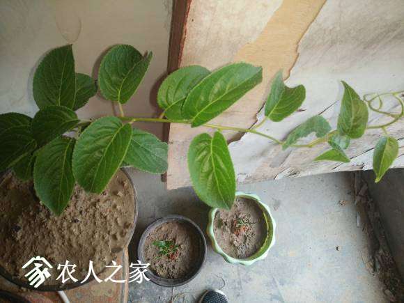 IMG20170520061410.jpg
