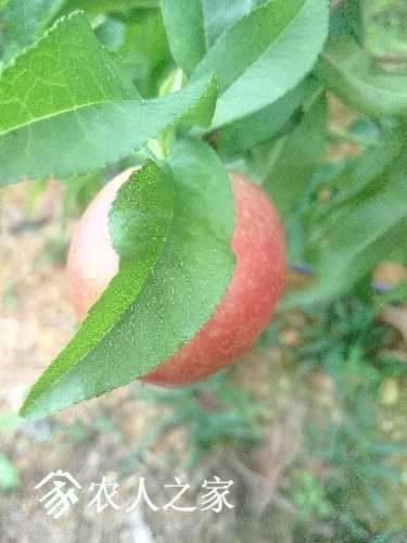 IMG_20170520_135502.jpg