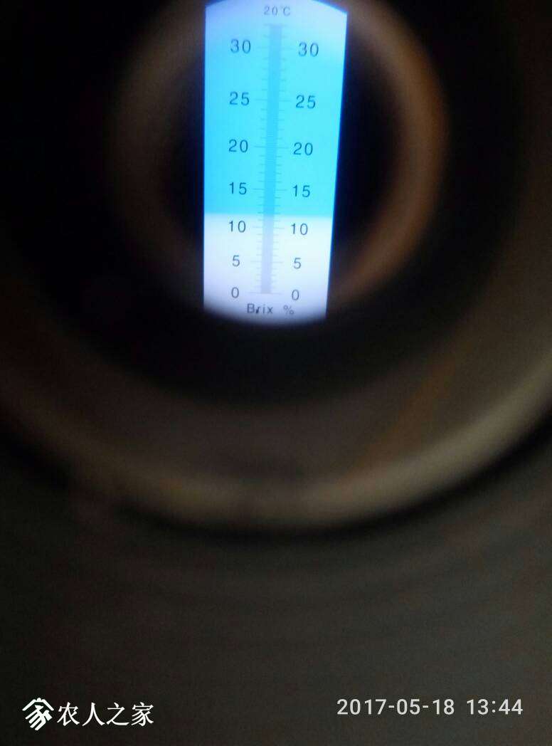 202928k5hxs5jh26xuzr8x.jpg