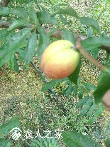 IMG_20170520_135628.jpg