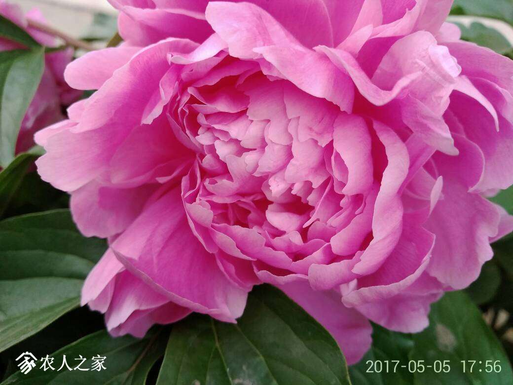 220638xl143fxaduz4p3ad.jpg