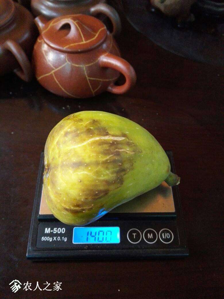 010305tr9cp98hu9qzrqau.jpg