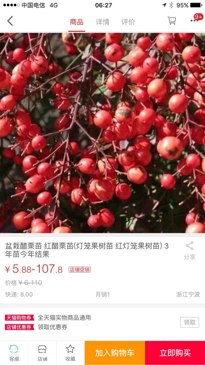 063033uwvyfn820yf9p6f6.jpg