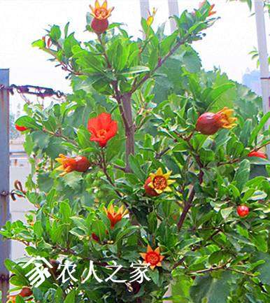 2017.5.21.̨ʯ񿪻 003.jpg