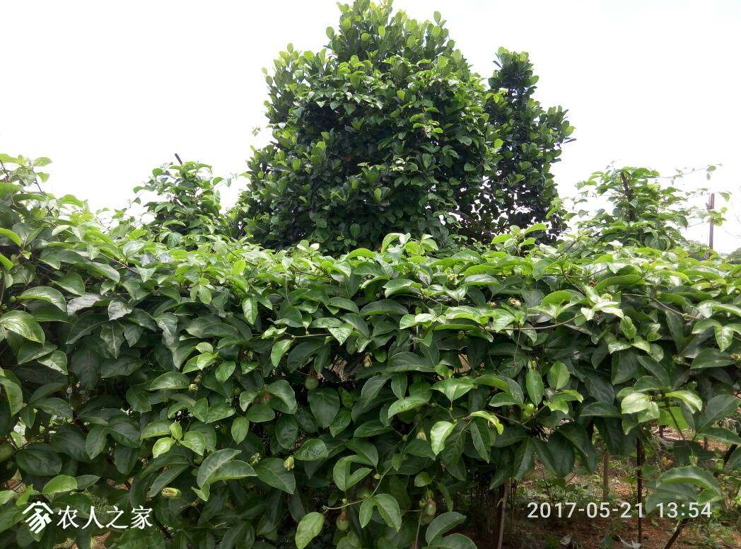 145505m72d64pi4bsfi7zd.jpg