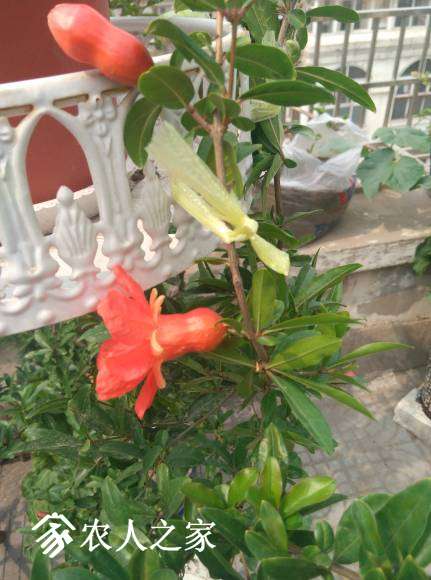 IMG_20170521_150130.jpg