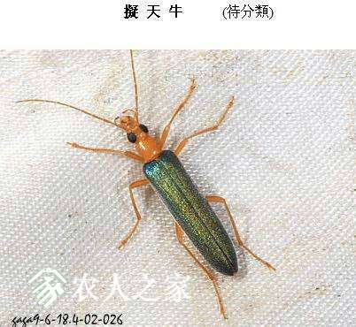 205731oi5kuwh8wuu1azol.jpg