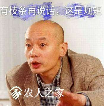 094734gad6fys2sf6byb6b.jpg