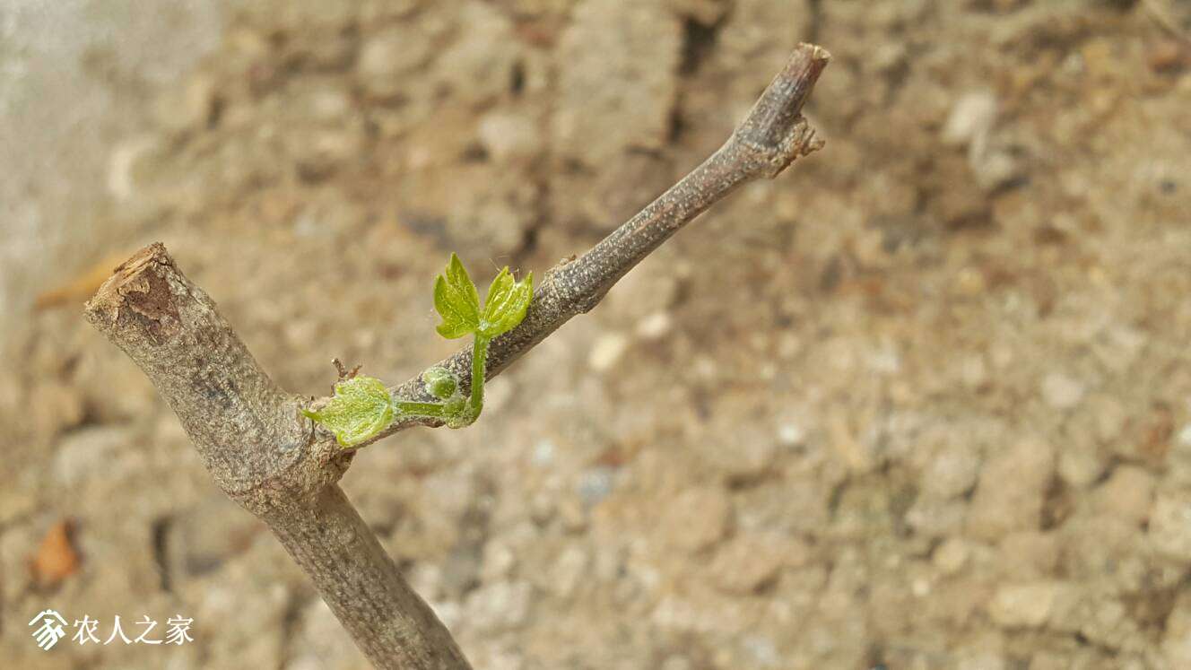 140342bhtxaxhhuytkyxhk.jpg