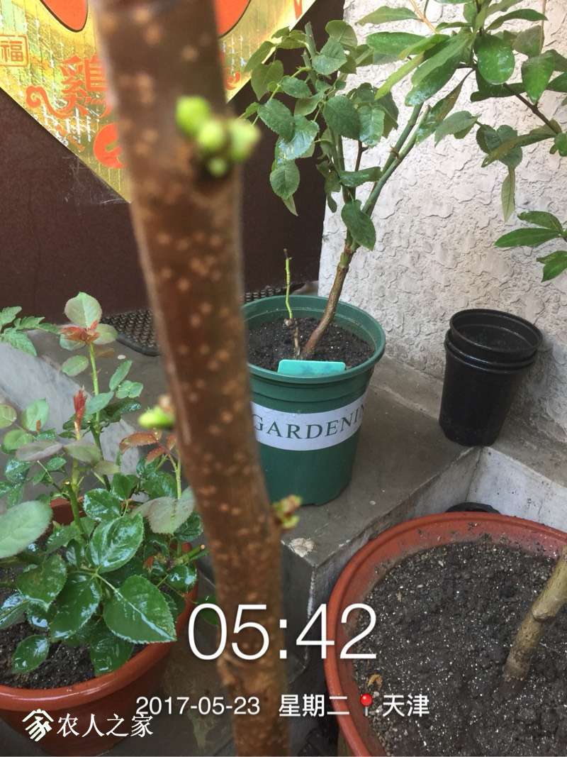 055251m6alfldv8aj0e8af.jpg