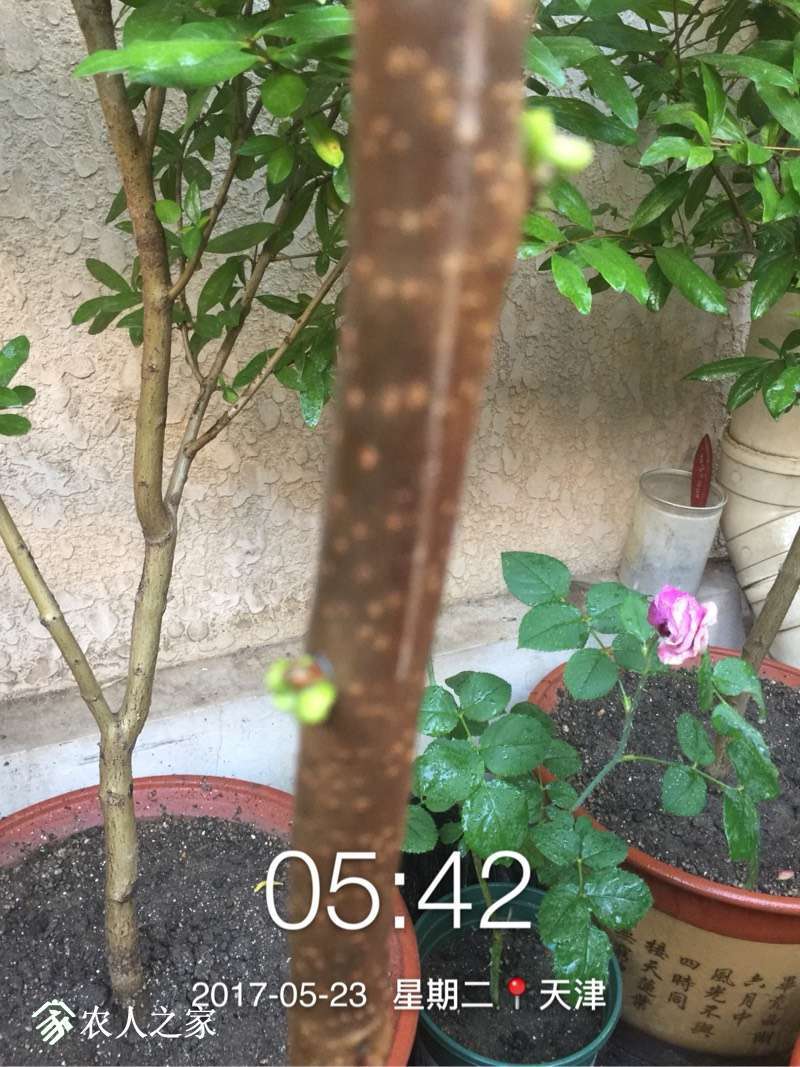 055251q8zzwhuv7ovroqa8.jpg