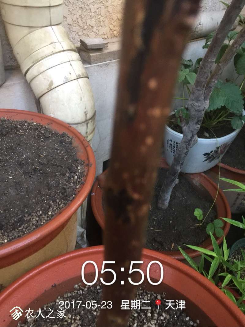 055336bnyg8vvncifcvvtv.jpg