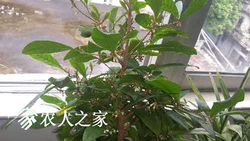 20170523_085305.jpg
