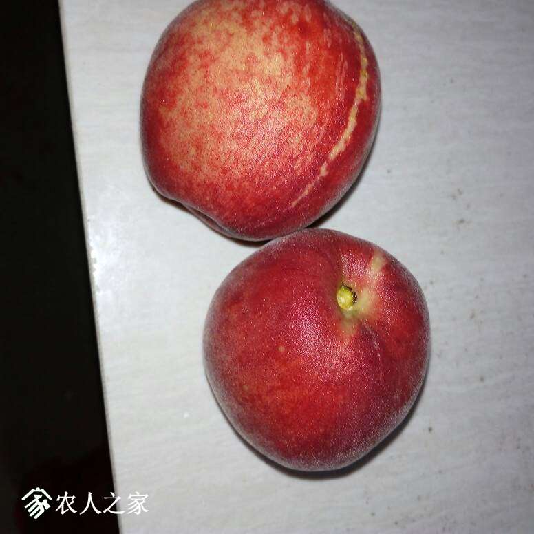 124842rr4965rhqxqd339q.jpg