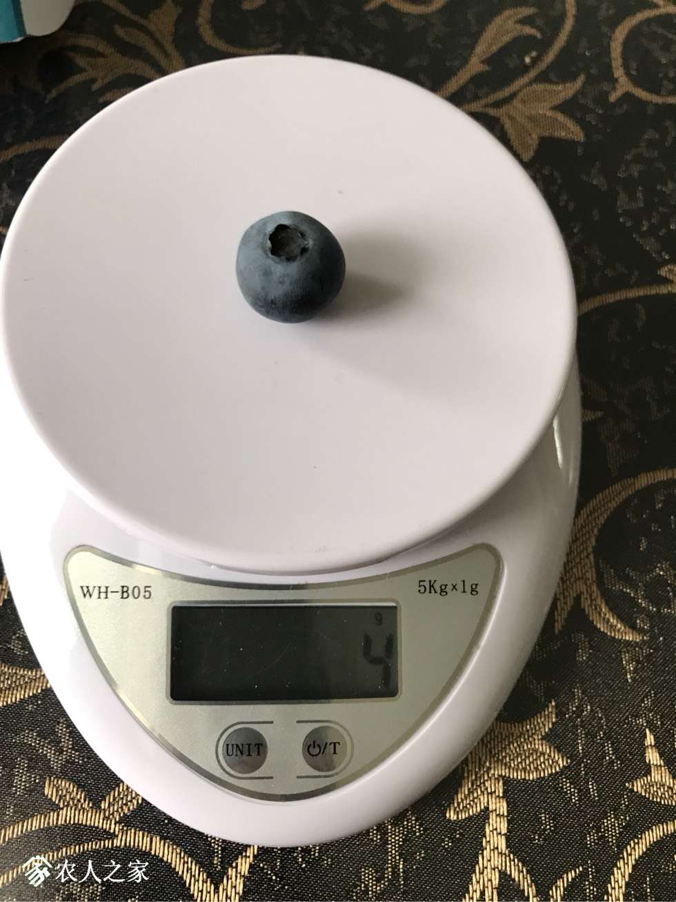 175045yzskmz1199gm9mrz.jpg