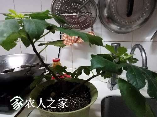 20170524_210836.jpg