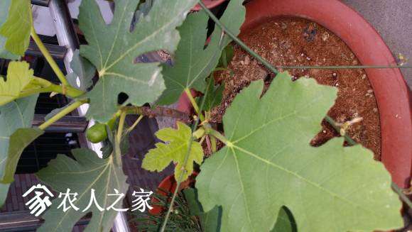 20170523_073044.jpg