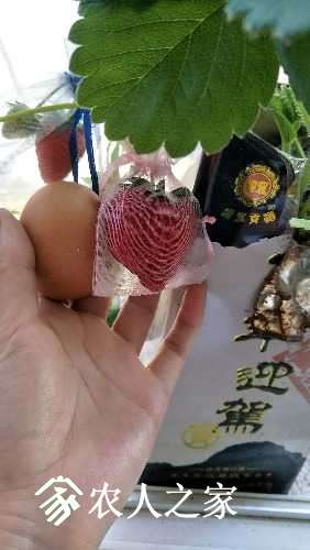 IMG20170521150807.jpg