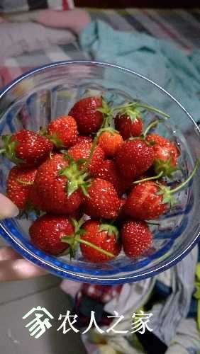 IMG20170514193153.jpg