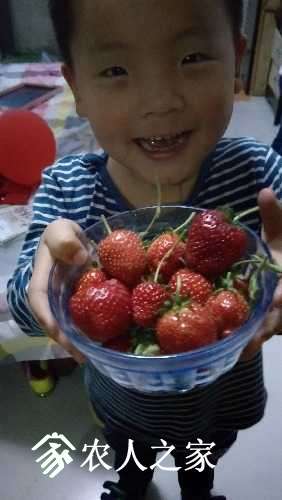IMG20170424184050.jpg