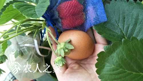 IMG20170521150710.jpg
