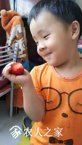 IMG20170521152041.jpg