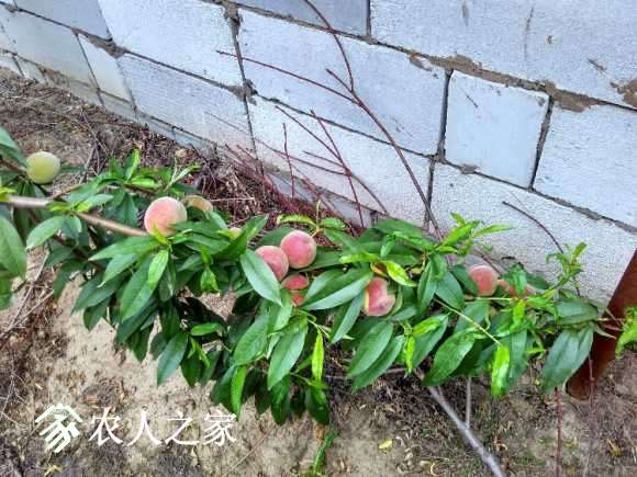 IMG_20160528_165938_HDR.jpg