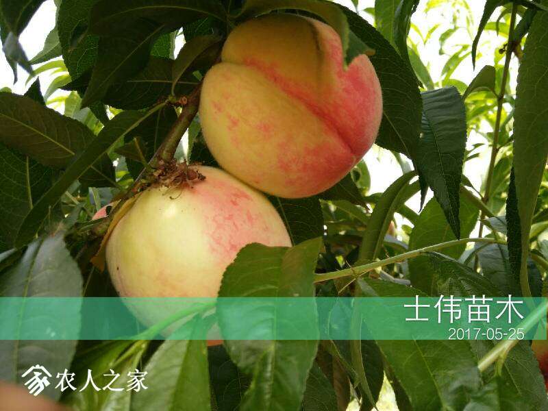 225121lm0pmfwzbsmb0p0b.jpg