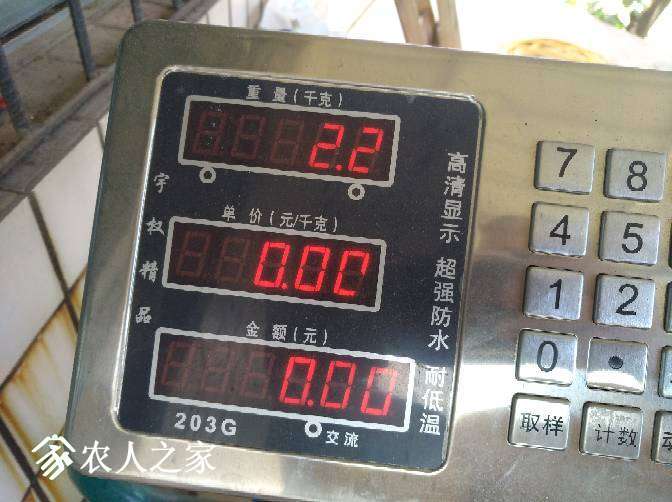 115551awuvju8tmjx1dvxx.jpg