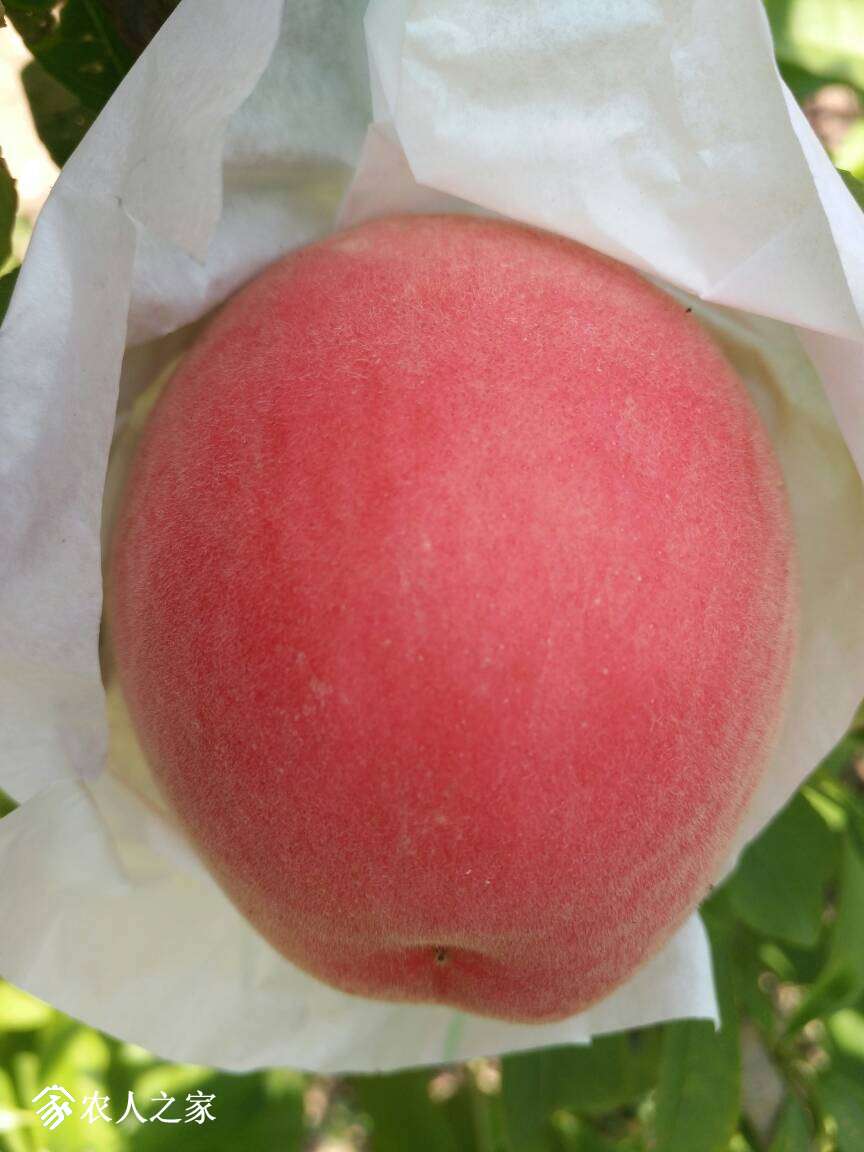 124346g9pih2dpyh9xppaz.jpg