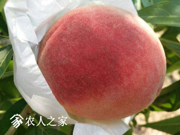 124346uji1pnhc7brcibbb.jpg
