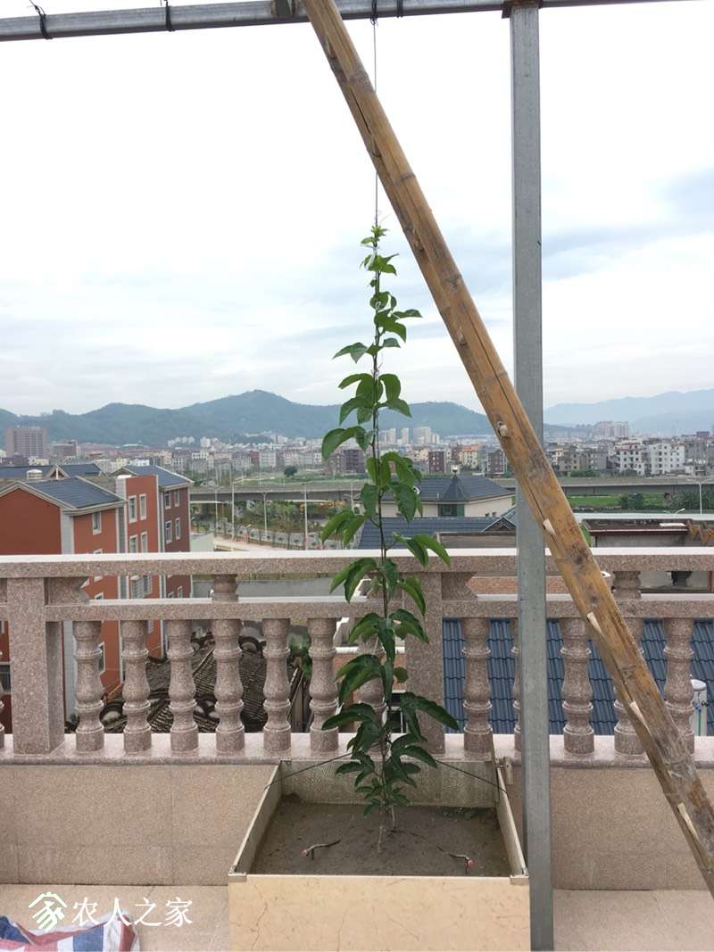 124641jmvpdqcxhbxofflb.jpg
