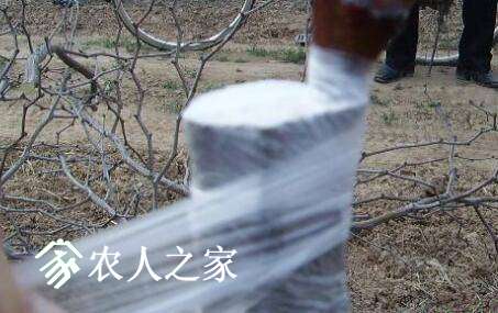 ޽ӸιЩ޽ӷ.jpg
