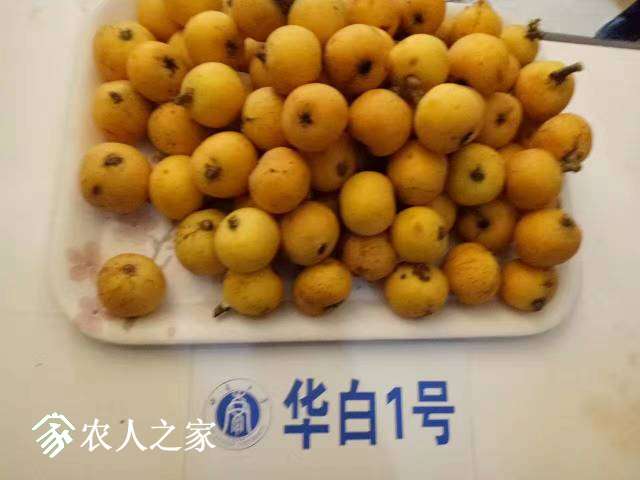 181521kwbpbwxigmpvftvx.jpg