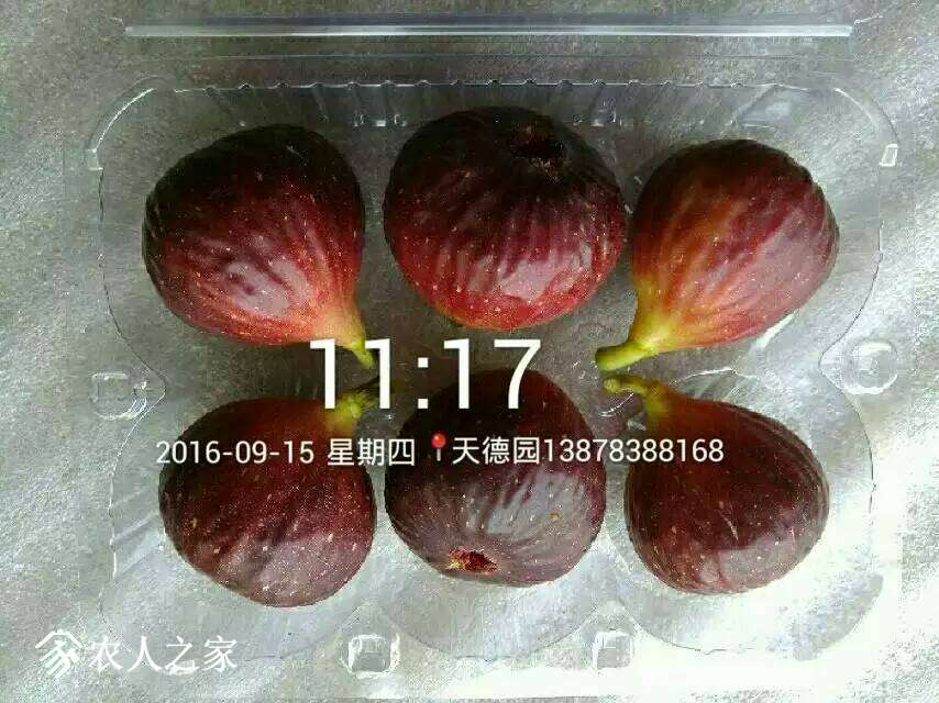 224947gxqqxk17nxcxe879.jpg