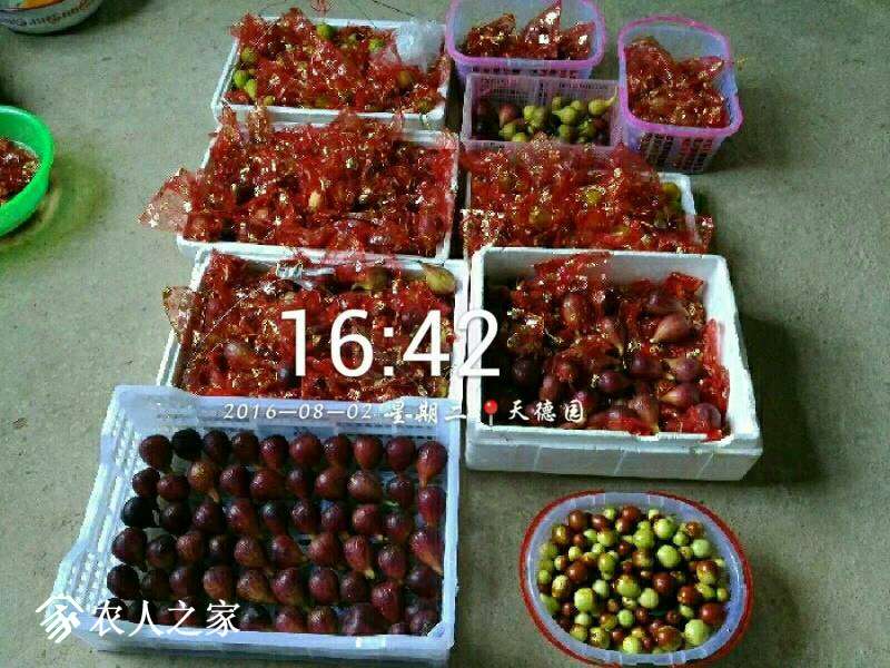 224947hhp5x7o5o71bkv79.jpg