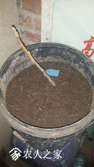 20170507_192948.jpg
