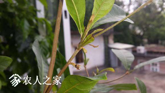 20170527_084723.jpg