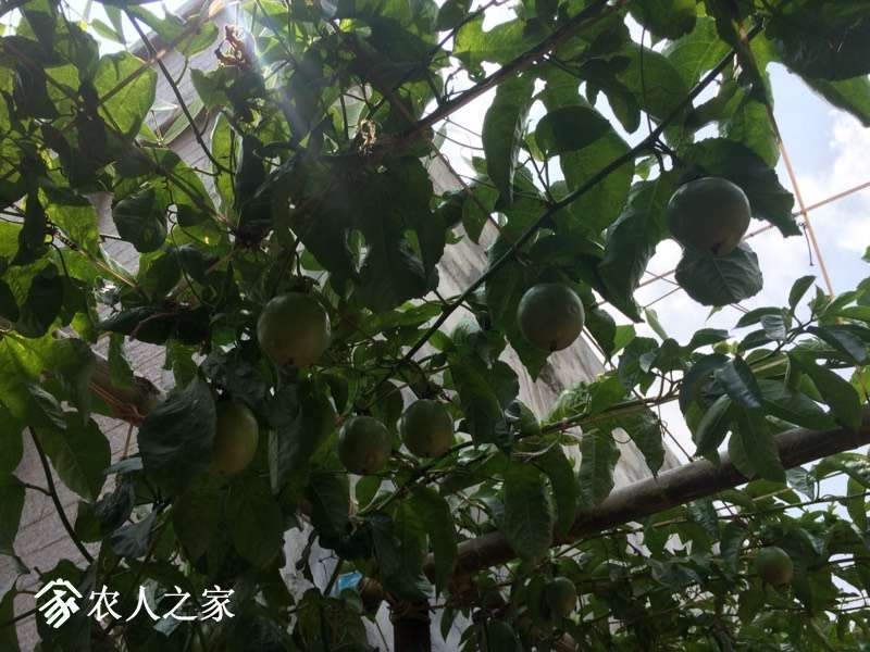 123630hxx2np3x6cvcd44j.jpg