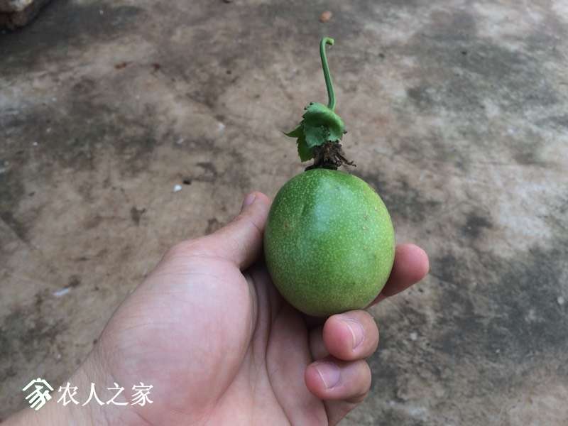 123630jvvg9k1dvxkk9qxx.jpg
