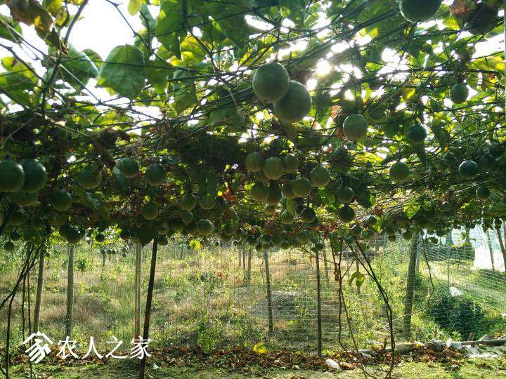 125445mao77vb48778vqoe.jpg