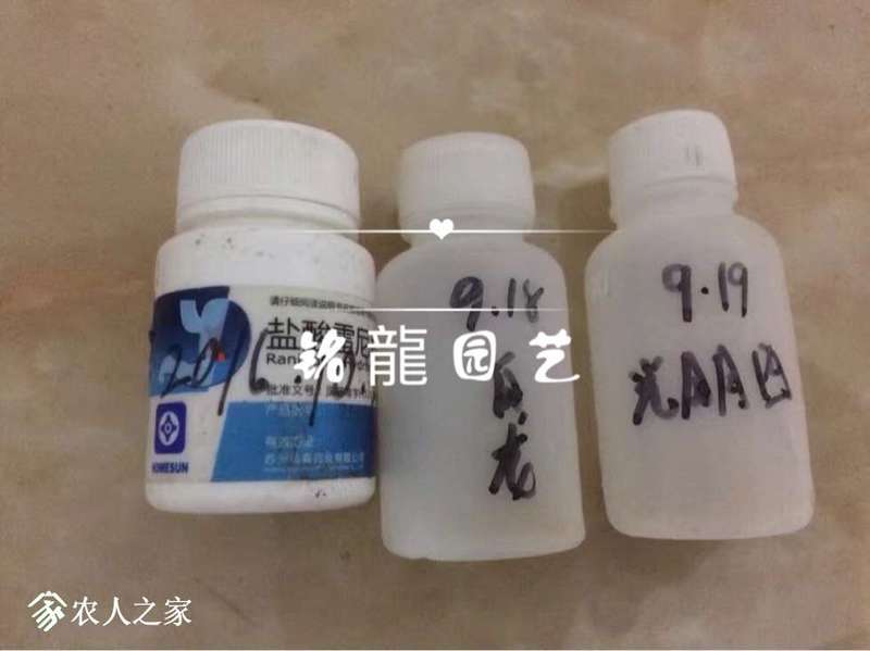 220518zq22re8xeeq2246q.jpg