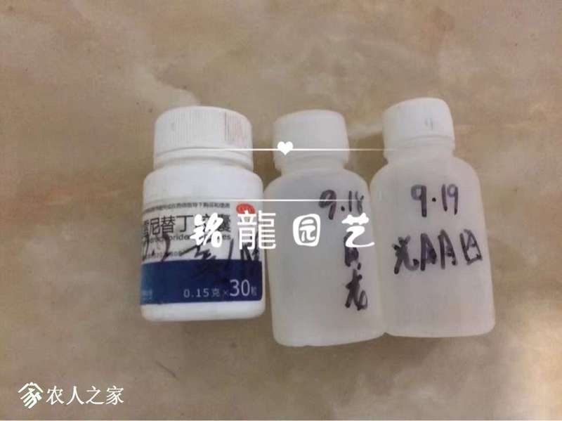 220528r6aeza44ebu4ge33.jpg