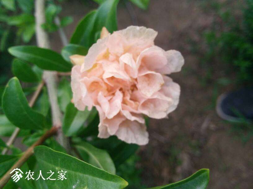 233336m92uru3q3j5559f6.jpg