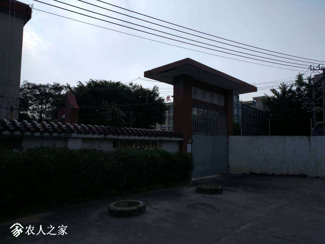 155032da9eoub6me430e40.jpg